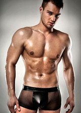 Boxer Fantasy
