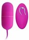 Oeuf vibrant Arvin